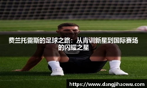 费兰托雷斯的足球之路：从青训新星到国际赛场的闪耀之星