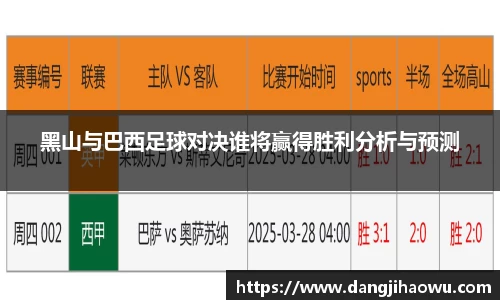 黑山与巴西足球对决谁将赢得胜利分析与预测