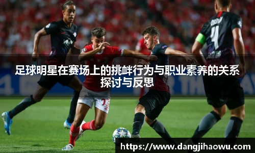 足球明星在赛场上的挑衅行为与职业素养的关系探讨与反思