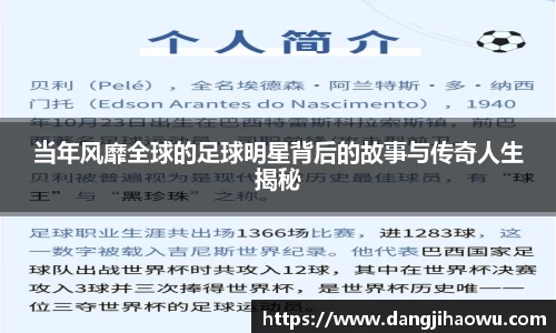 乐动LDSports体育