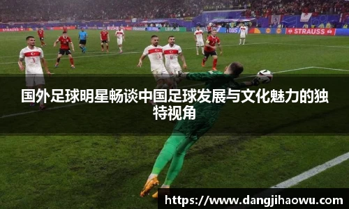 国外足球明星畅谈中国足球发展与文化魅力的独特视角